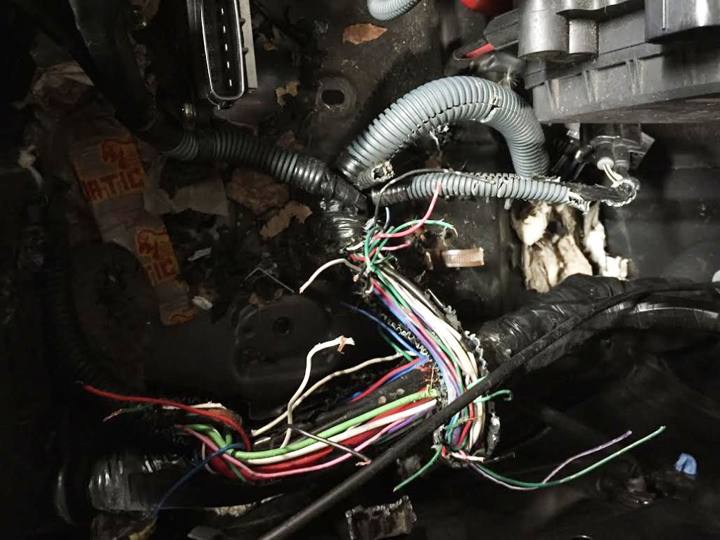 Does Toyota Use Soy Based Wiring from www.synlube.com